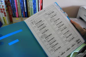 miyagikenishinomakshi 235.jpg